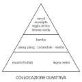 diffusore-aroma-bastoncini-lusso