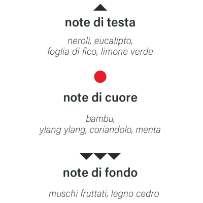 diffusore-aroma-bastoncini-fragranza-italiana