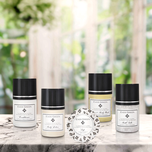 EverGreen Vip Hotel Amenities 